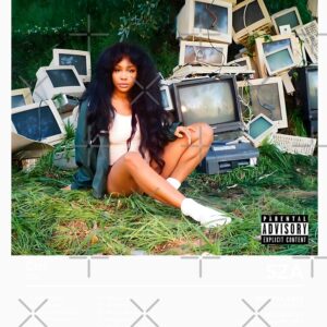 SZA Ctrl Album Cover Retro Vintage Hoodie - Image 3